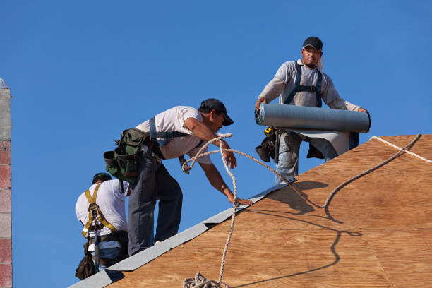 Roof Repair Estimates in West Point, NE