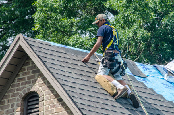 Best Metal Roofing Contractor  in West Point, NE